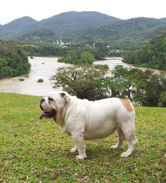 Aos 5 meses de idade.